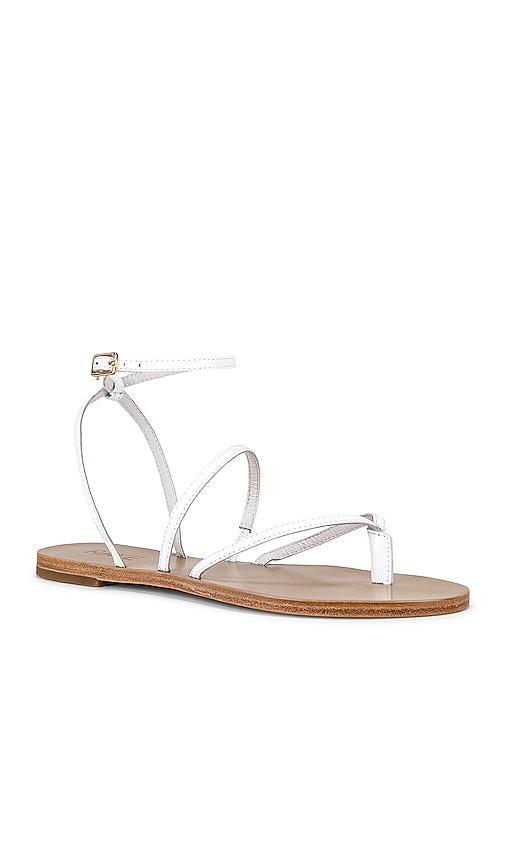 Void Sandal RAYE Product Image