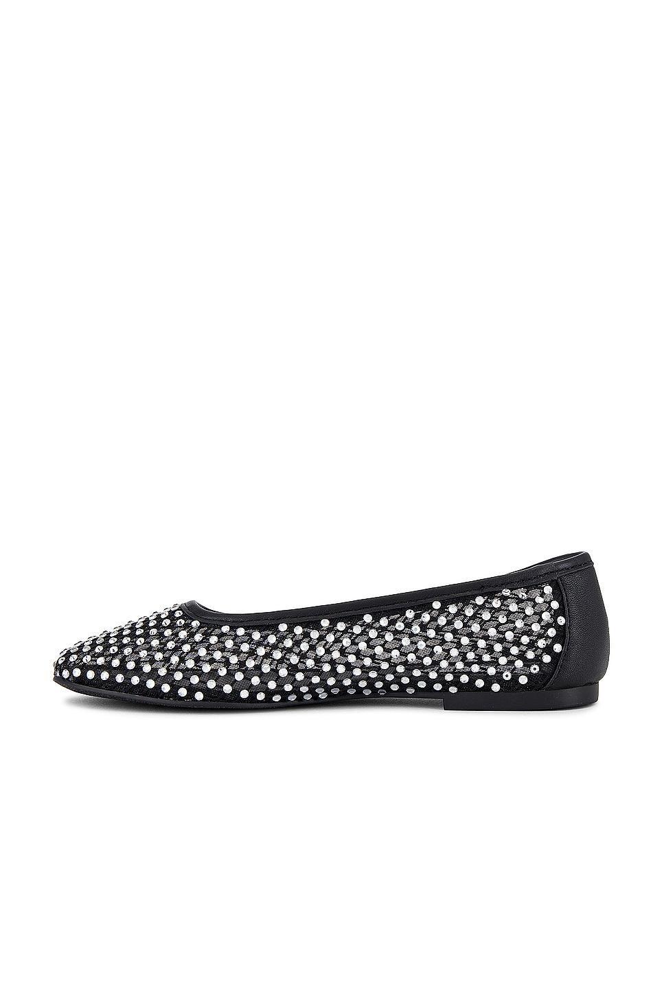 Ballet Flat Auden Steve Madden Product Image