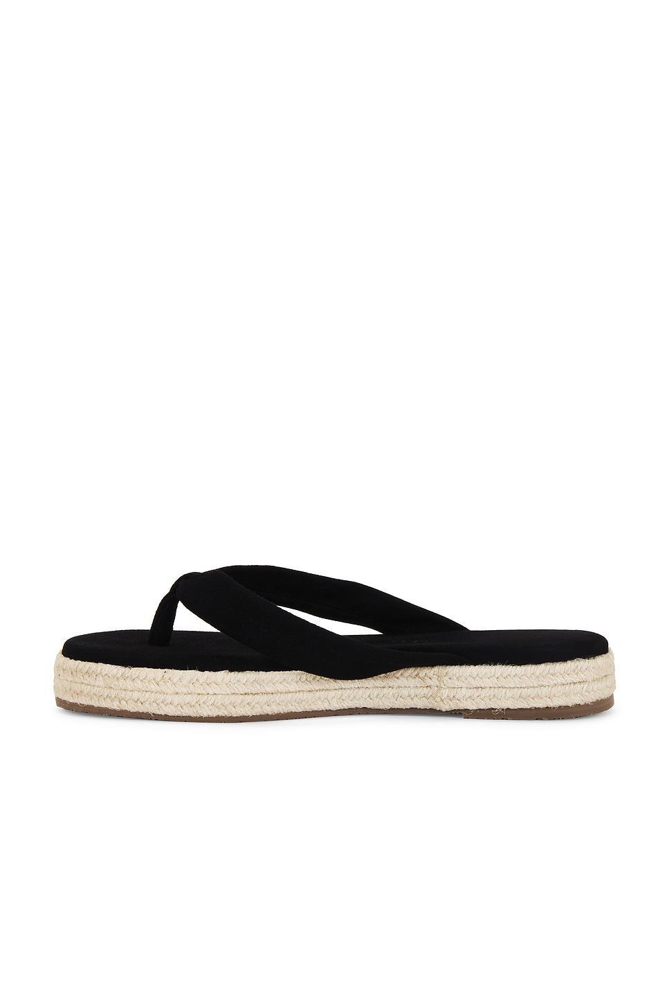 Hera Flip Flop TKEES Product Image