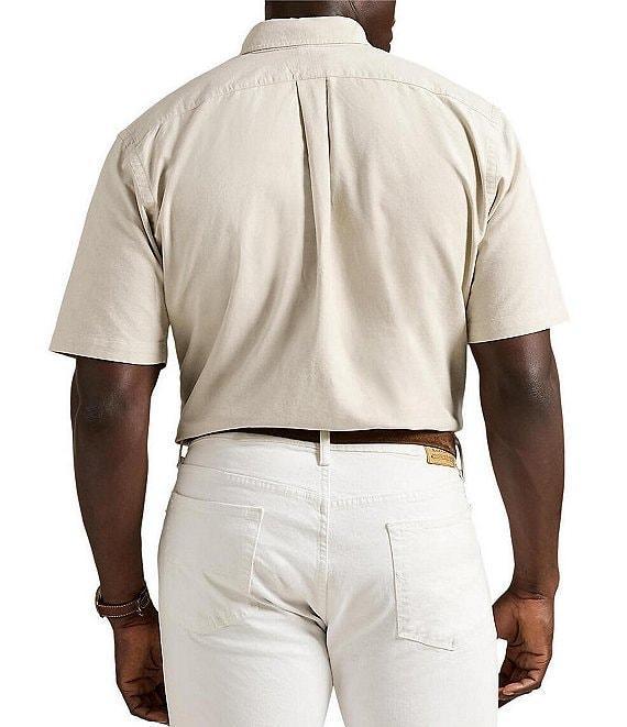 Polo Ralph Lauren Big & Tall Short Sleeve Oxford Woven Shirt Product Image