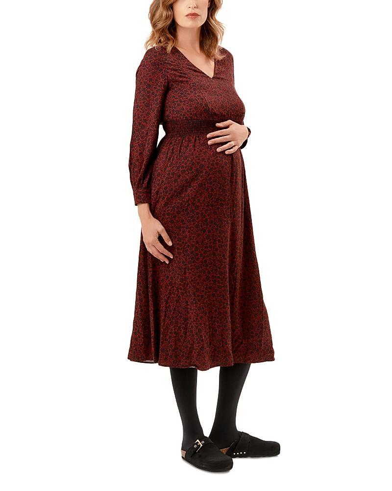 Nom Maternity Leila Floral Print Maternity Nursing Dress Product Image