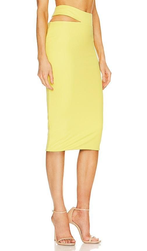 x REVOLVE Nelle Skirt Michael Costello Product Image