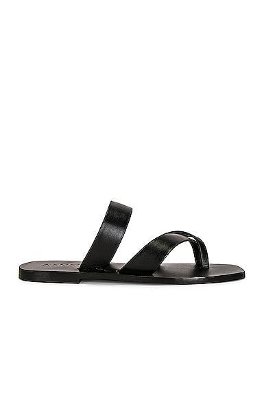 A.EMERY Carter Sandal Product Image