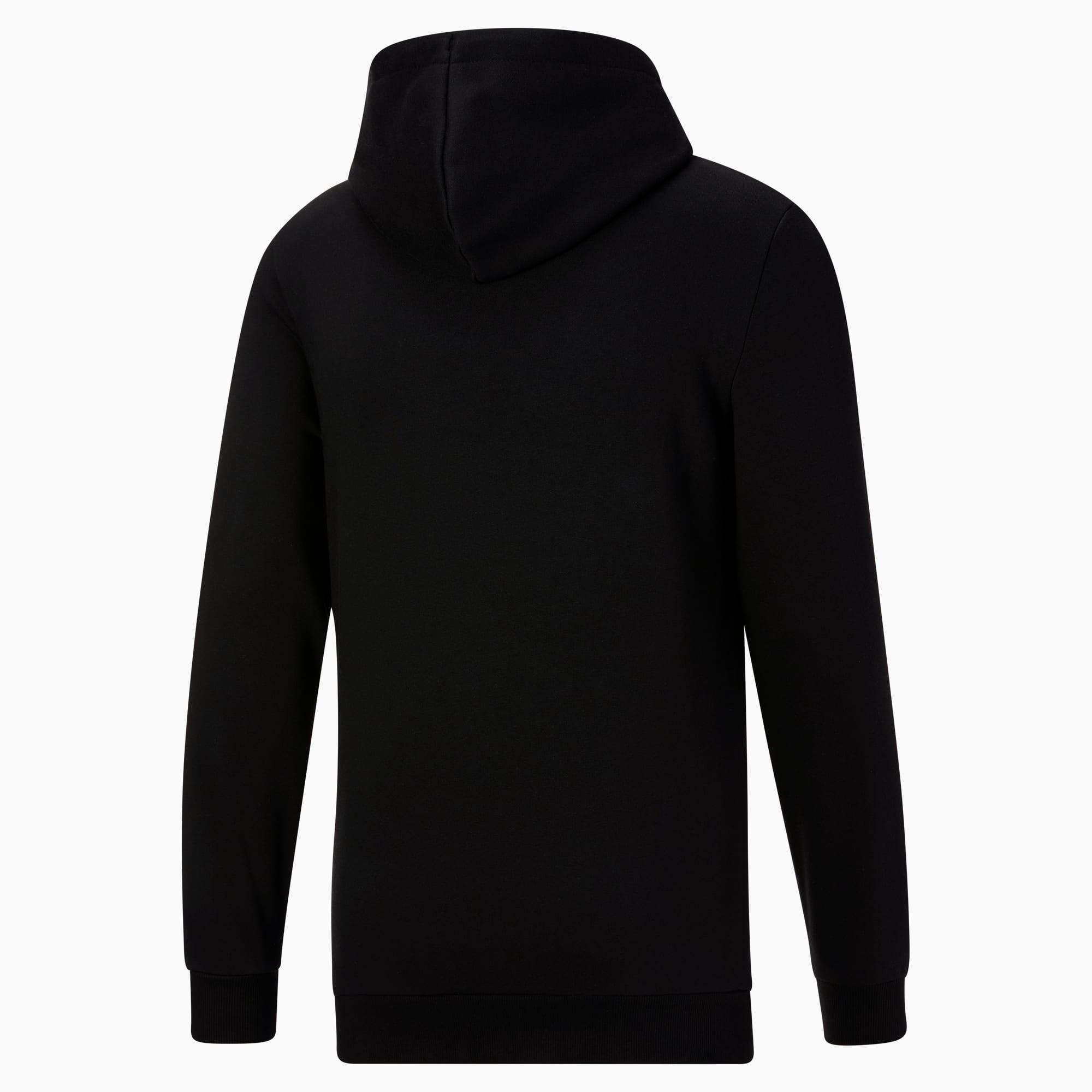Big Cat Men's Logo Hoodie Product Image