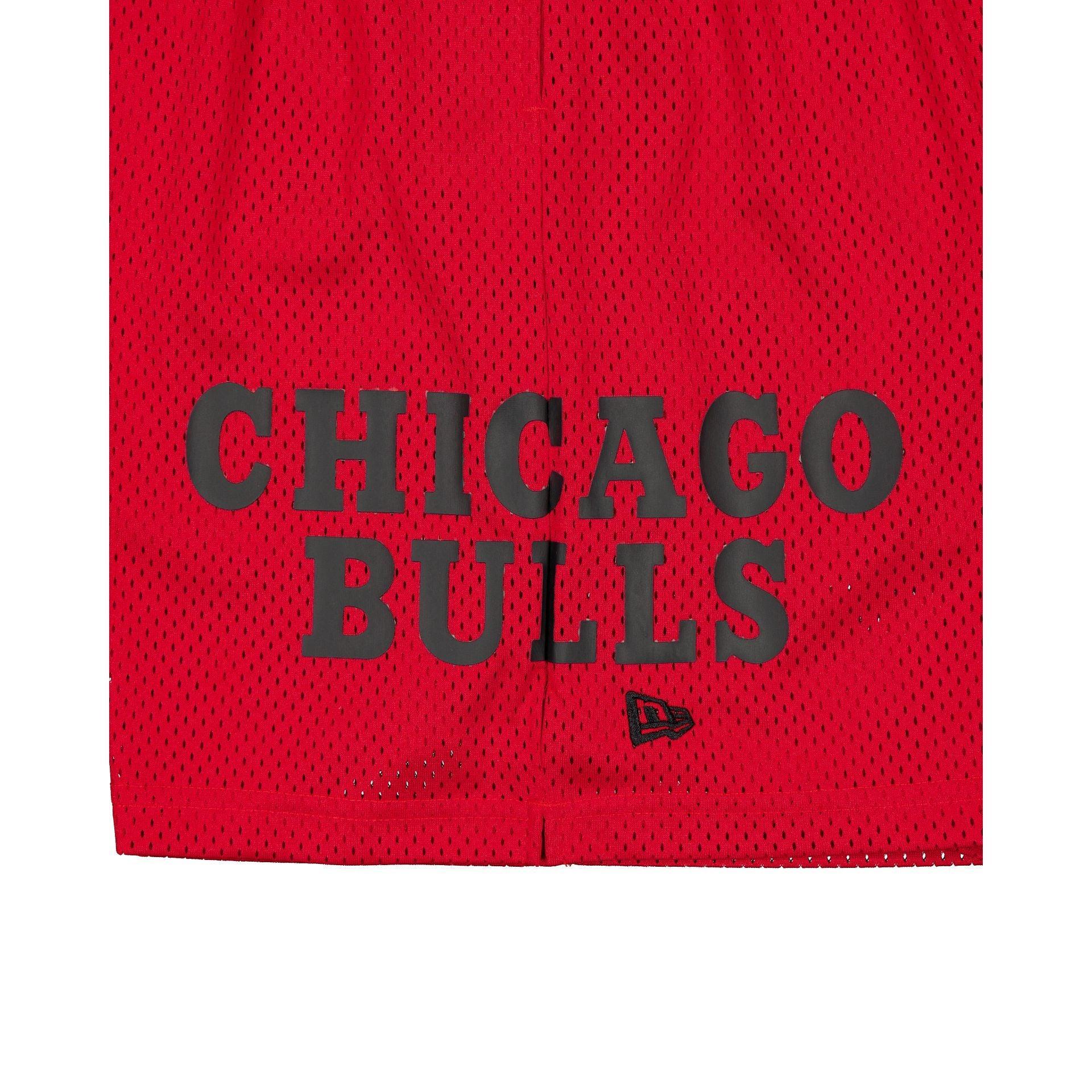 Chicago Bulls Summer Shorts Male Product Image