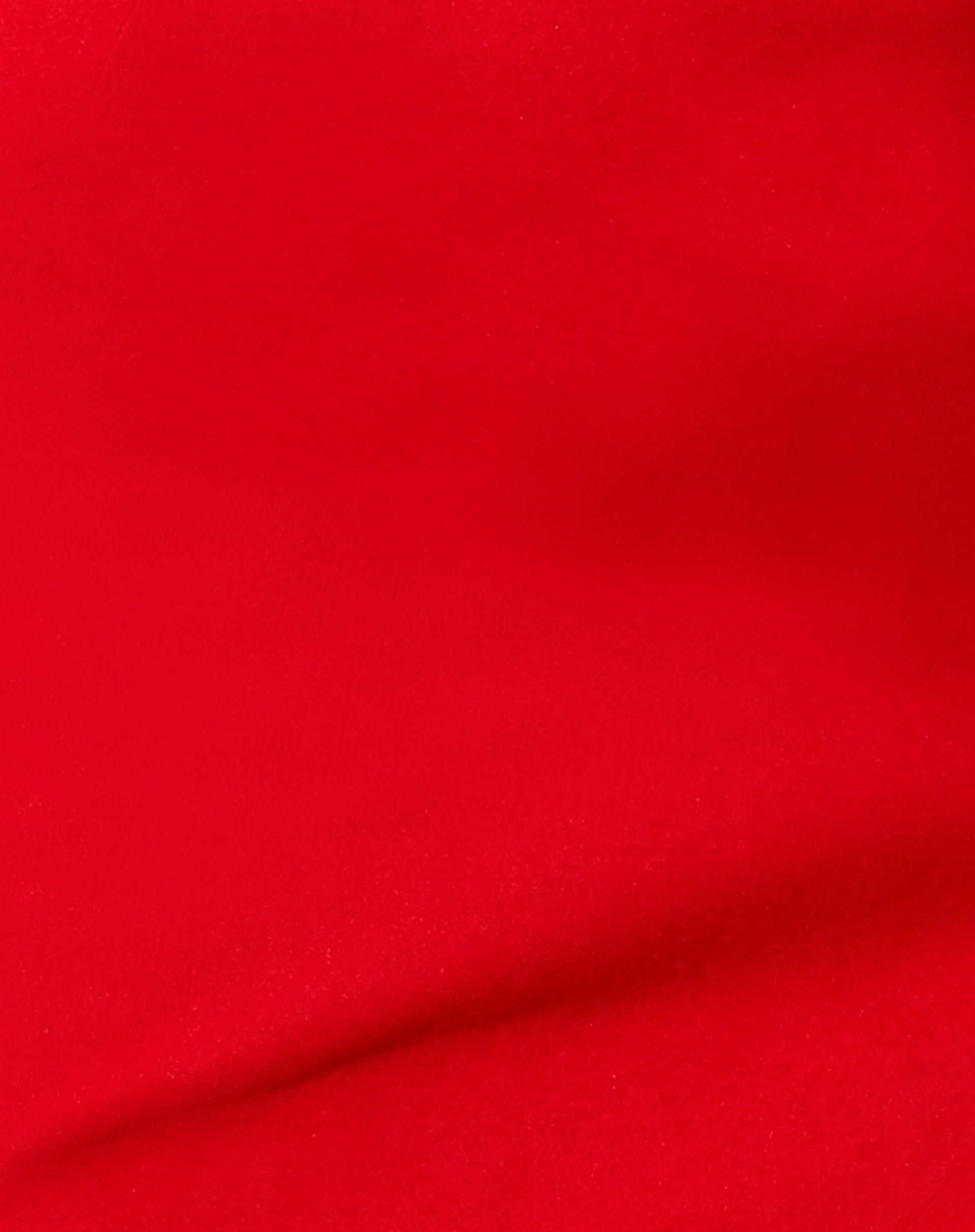 Taina Crop Top in Tailoring Red Product Image