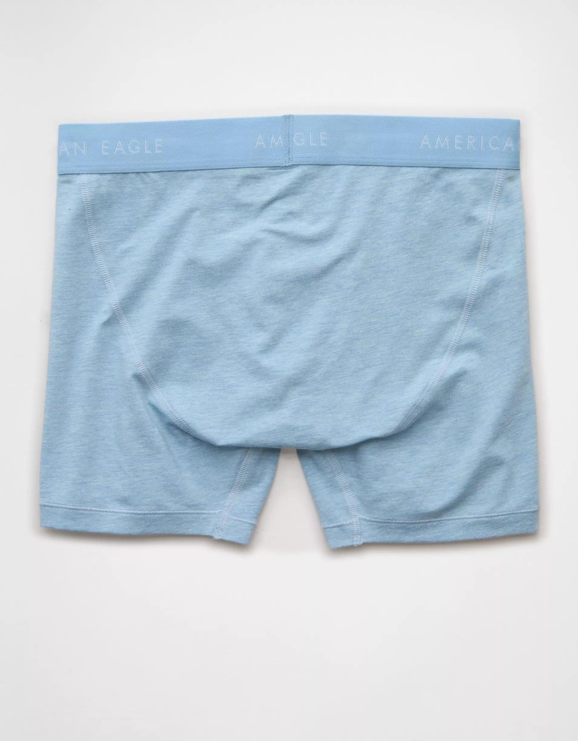 AEO Men's 4.5" Classic Boxer Brief Product Image