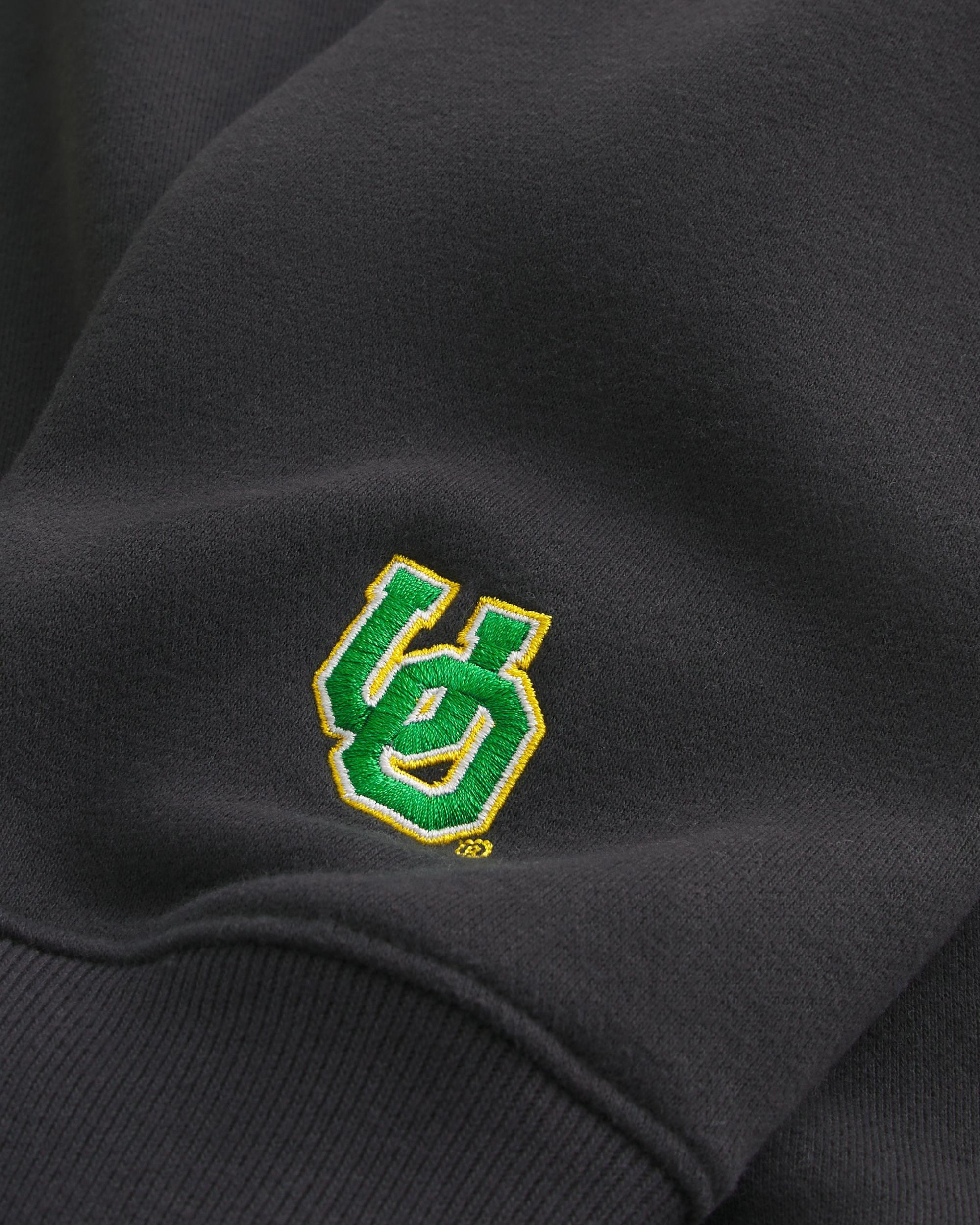 Northwestern Wildcats Graphic Crew Sweatshirt Product Image