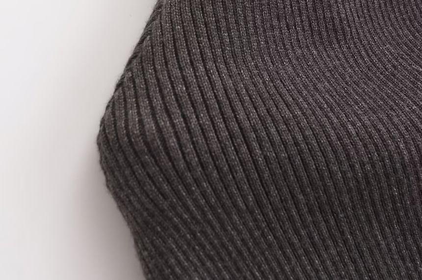 Turtleneck Plain Ribbed Sweater Product Image