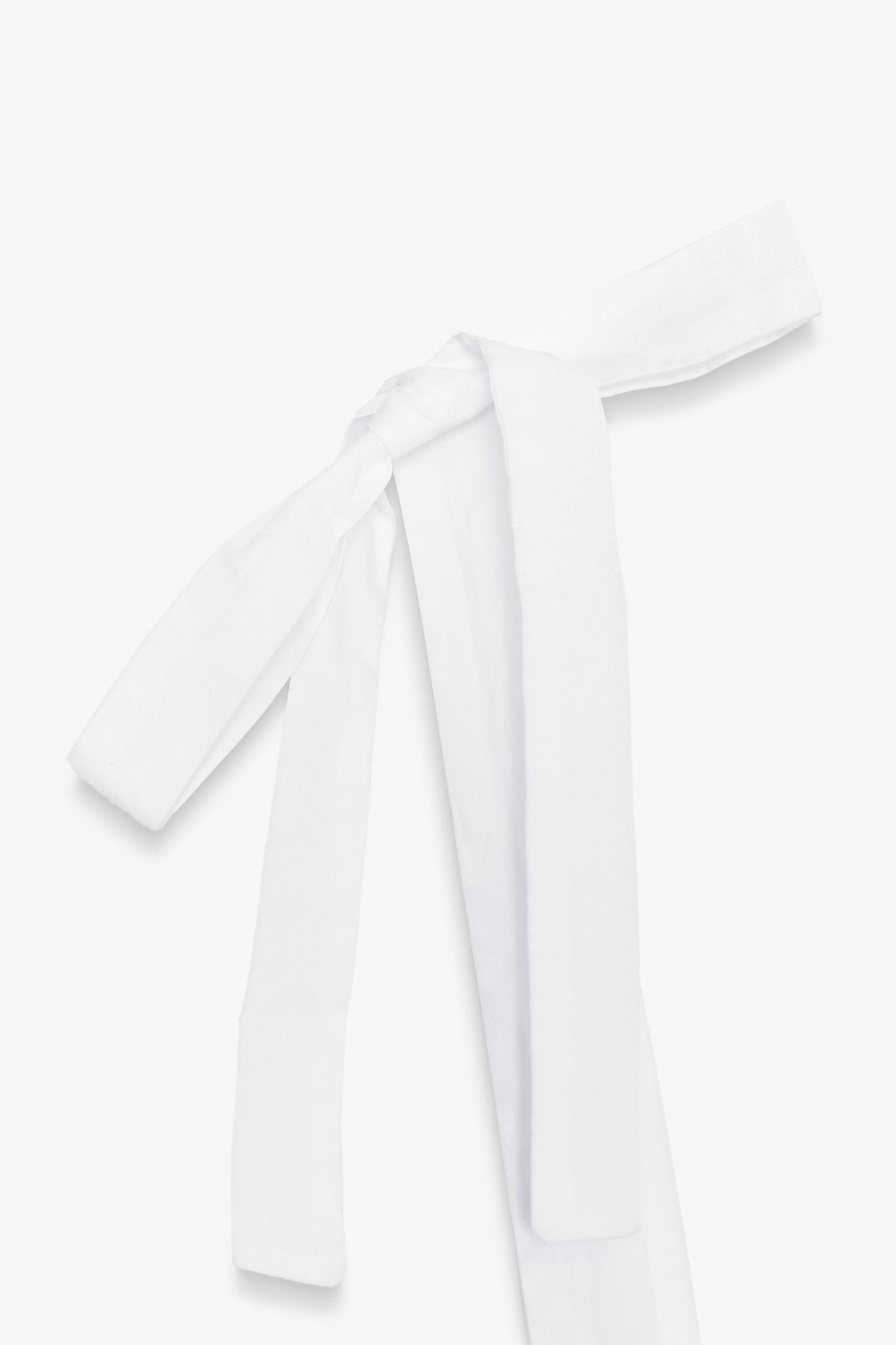 POPLIN BALLOON TOP Product Image