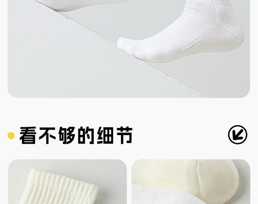 Plain Ribbed Socks / Set Product Image