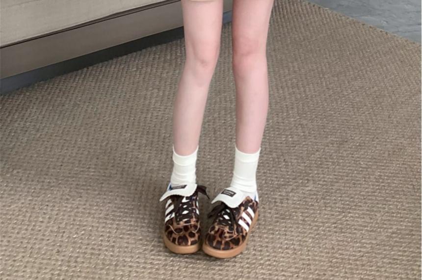 Elastic Waist Plain Sweat Shorts Product Image