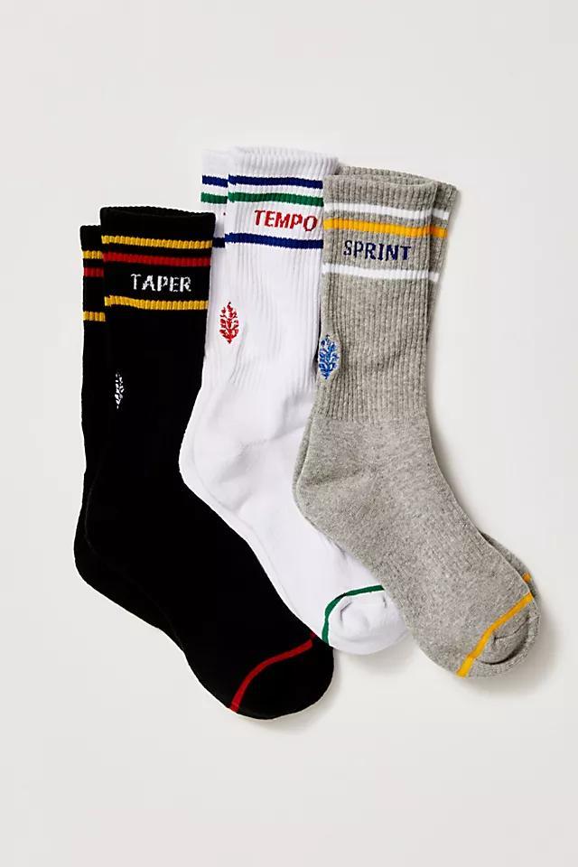 Good Sport Sock Pack Product Image