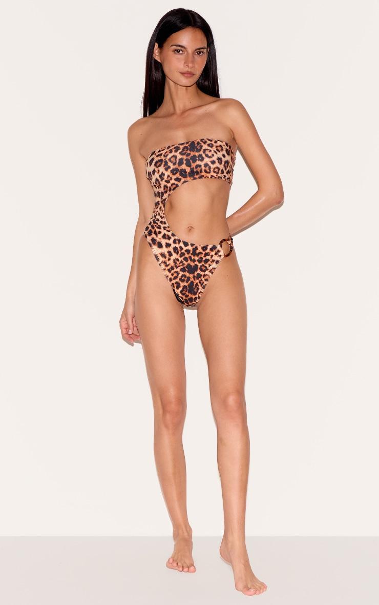 Brown Leopard Print Cut Out O Ring Trim Detail Swimsuit Product Image