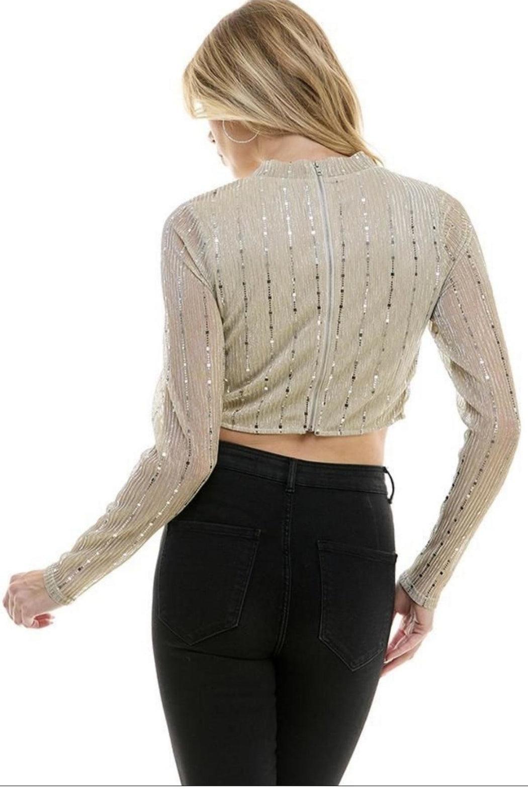 Metallic Crop Top Product Image