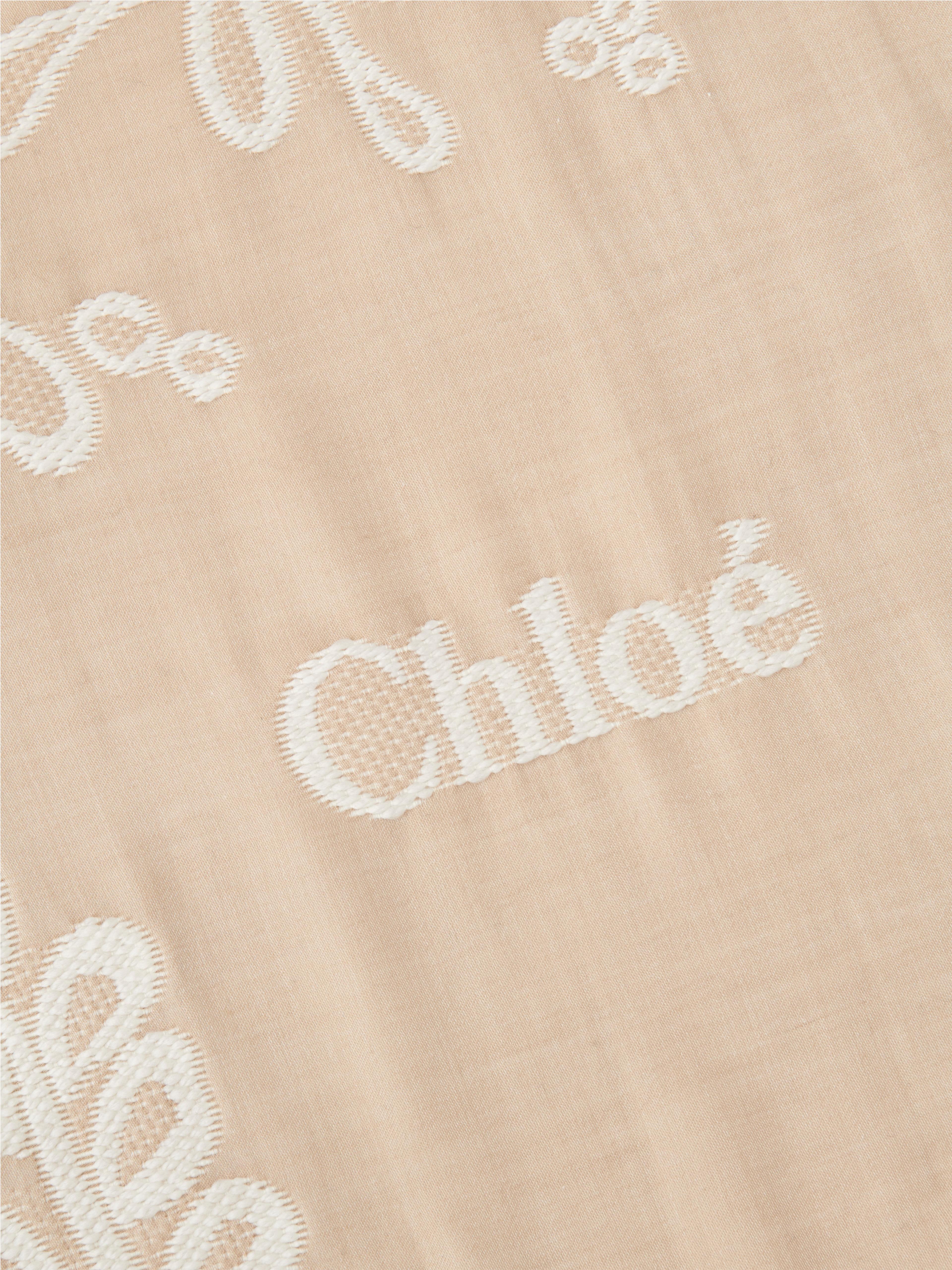 CHLOÉ Rectangular Stole In Wool & Silk Broderie Anglaise Beige Size Onesize 82% Wool, 18% Silk Product Image