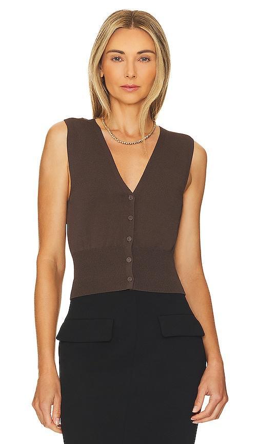 L'ACADEMIE Natesa Knit Vest In Brown Product Image