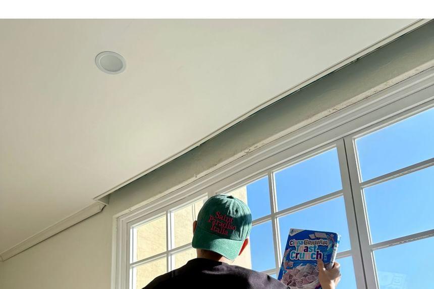 Short-Sleeve Cat Print Loose-Fit Tee Product Image