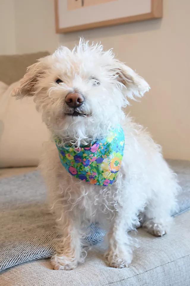 MODERNBEAST Meadow Pet Bandana Product Image