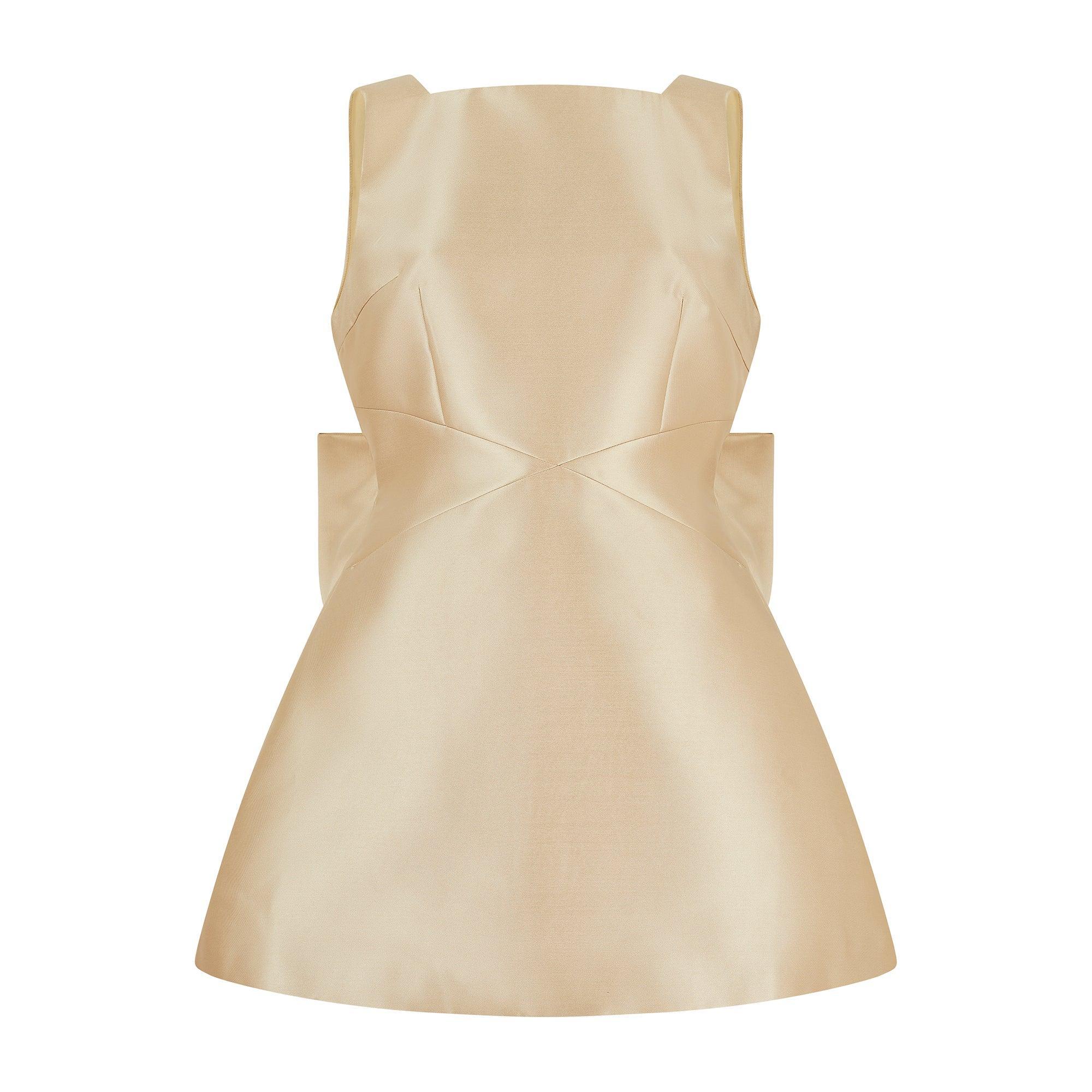 Bow Detail Mini Dress Product Image