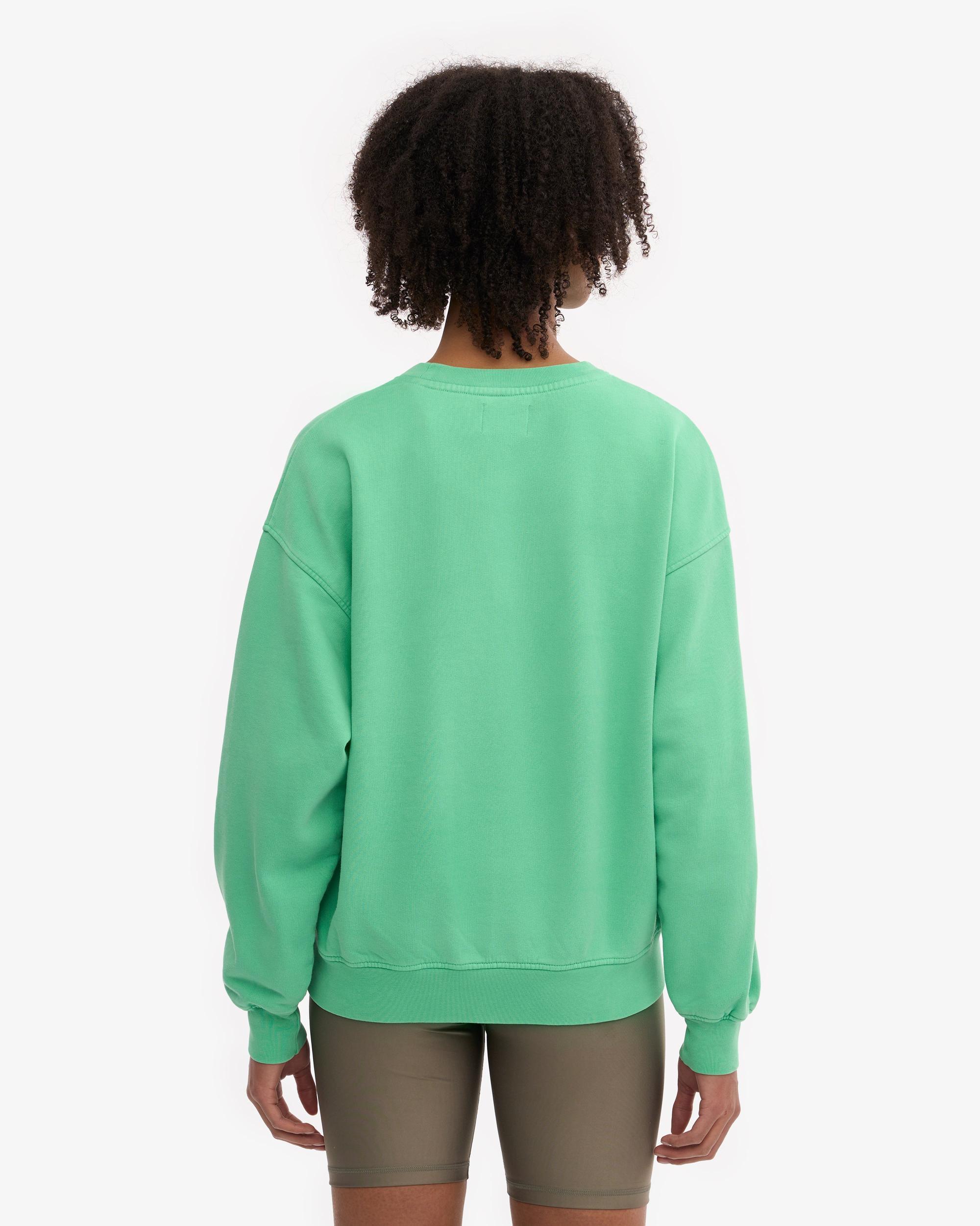 Organic Oversized Crew - Pearly Purple Product Image