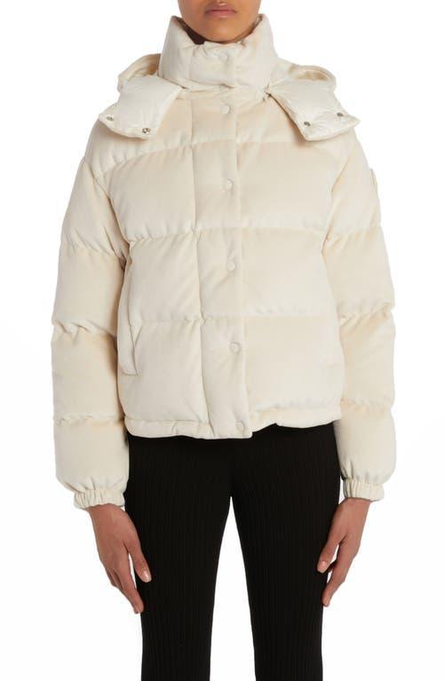 Moncler Daos Velvet Down Puffer Jacket Product Image