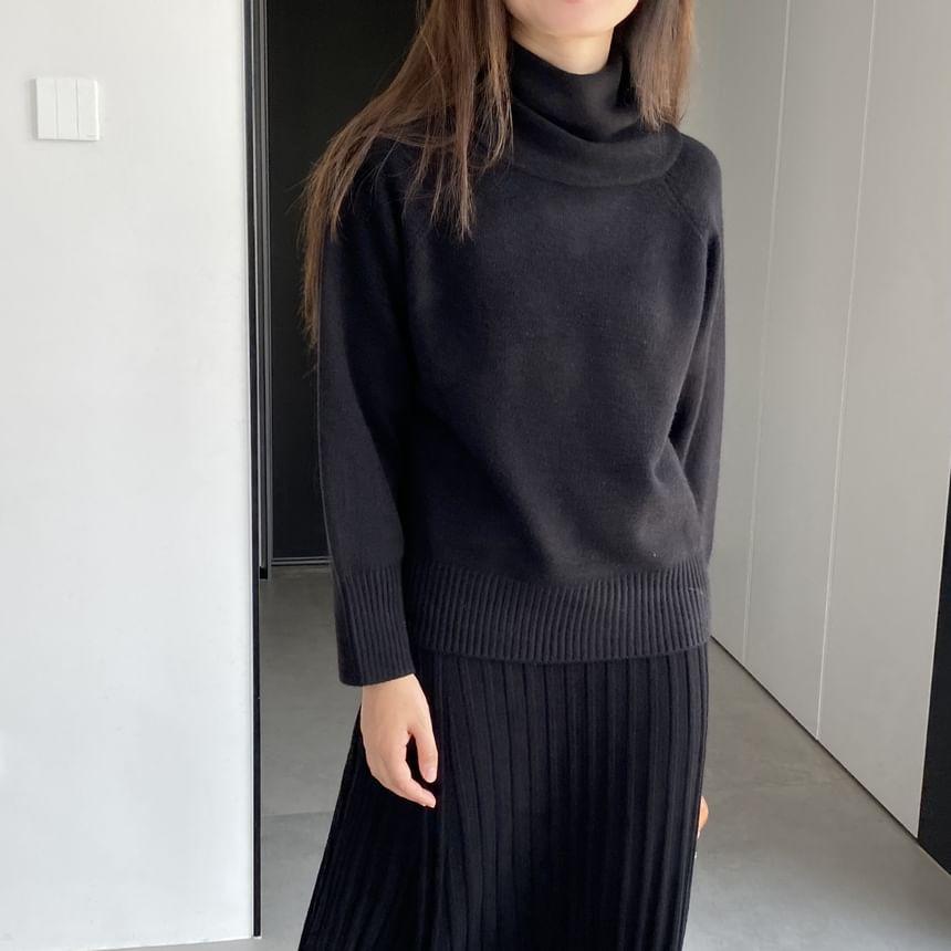 Turtleneck Plain Sweater Product Image