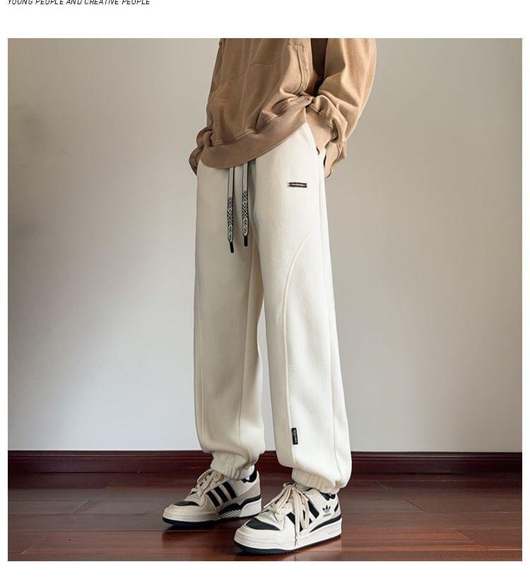 Drawstring Waist Plain Fleece Straight Leg Sweatpants Product Image