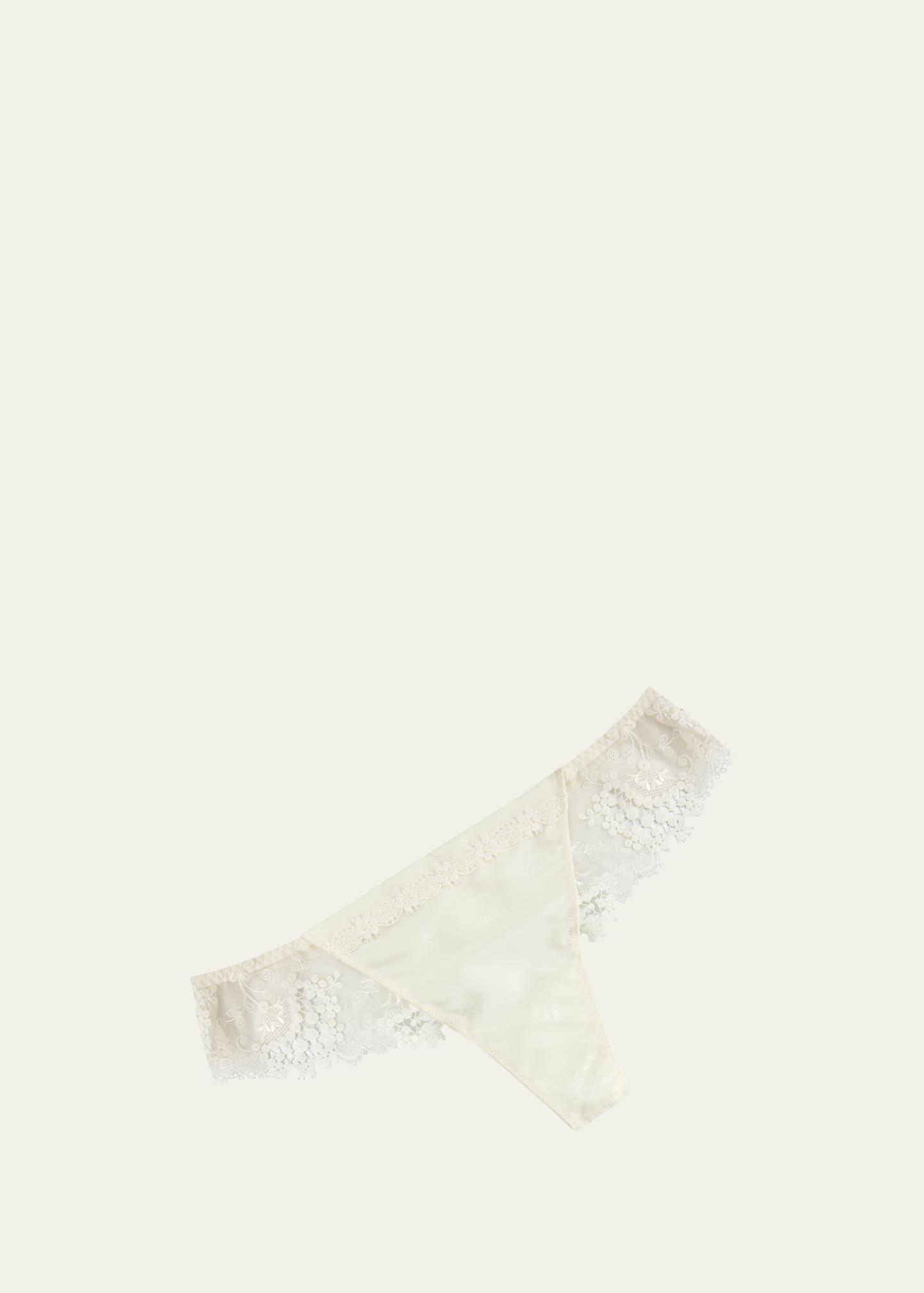 Wish Lace Mesh Tanga Product Image