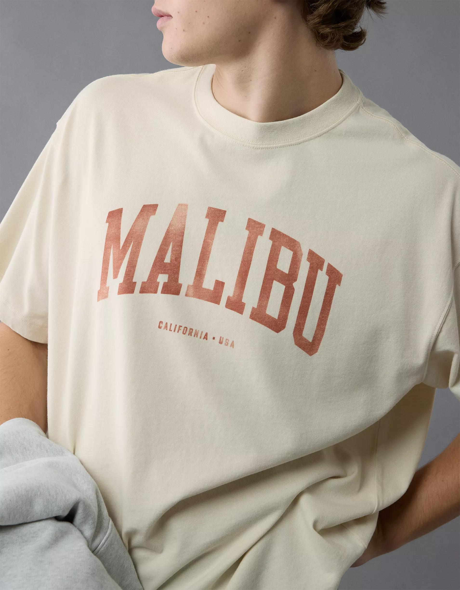 AE Boxy Destination Graphic T-Shirt Product Image