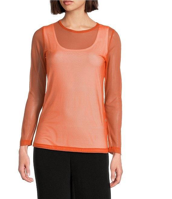IC Collection Sheer Mesh Crew Neck Long Sleeve Knit Top Product Image