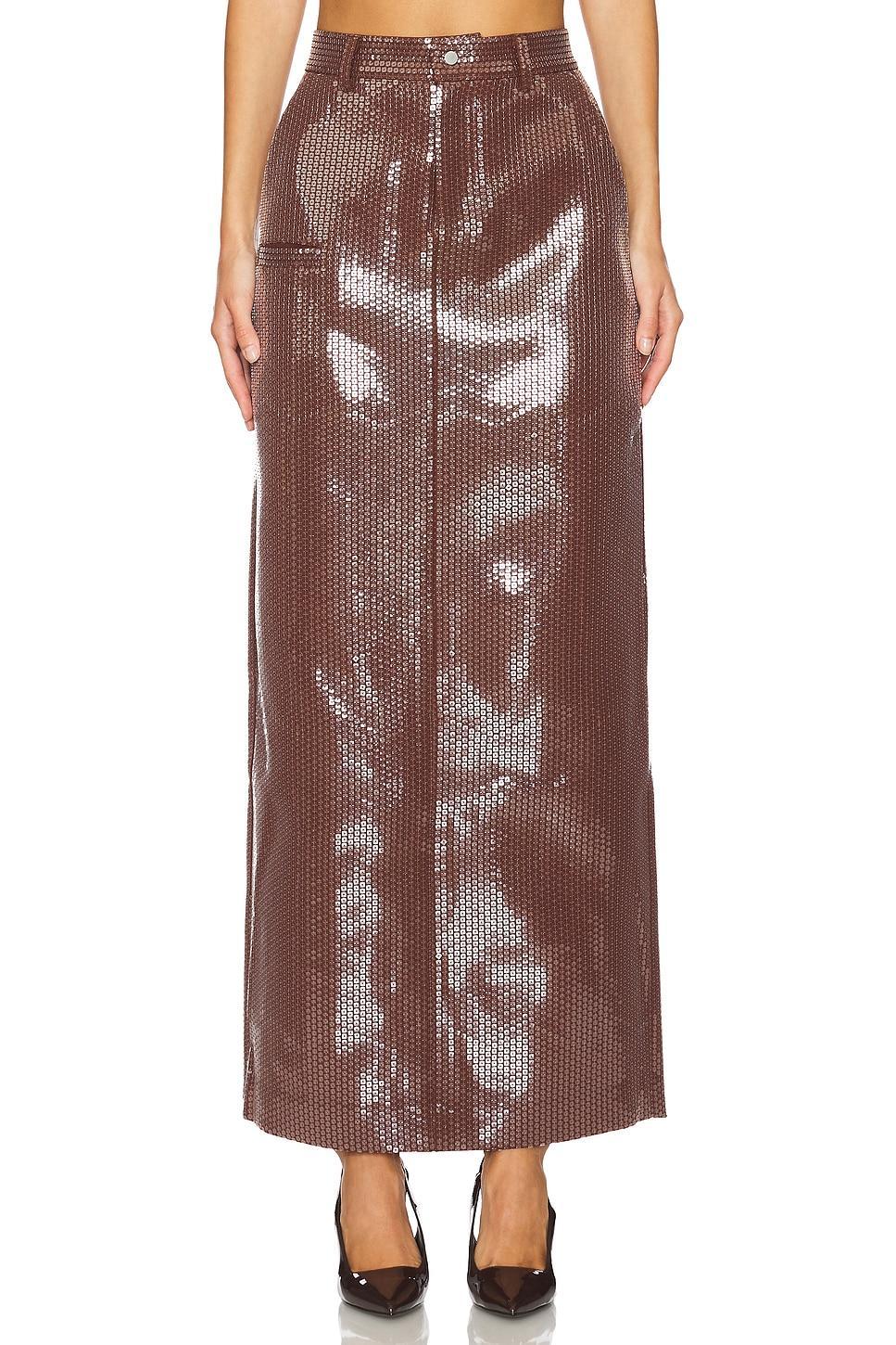 Sequin Maxi Skirt Product Image