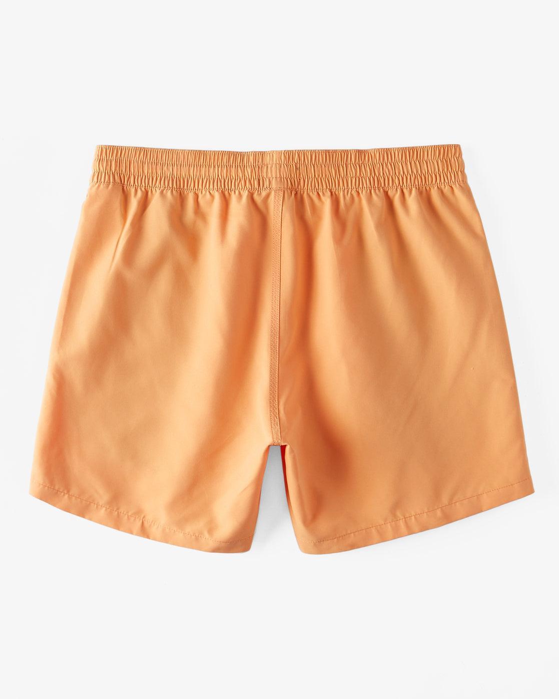 All Day Layback 16" Swim Trunks - Melon Male Product Image