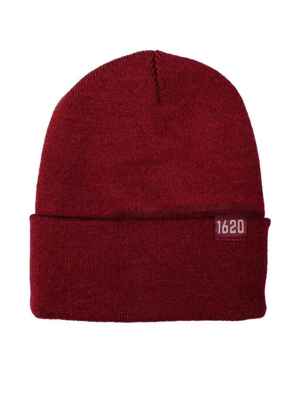 Cuffed Beanie Product Image