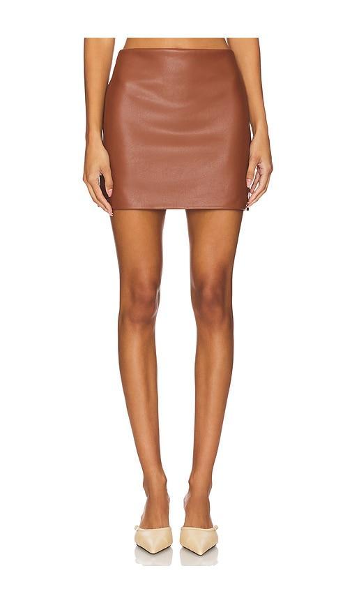 Mini Leather Skirt Enza Costa Product Image