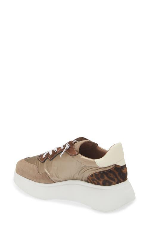 WONDERS Platform Sneaker In Taupe/gold/leo Combo Product Image