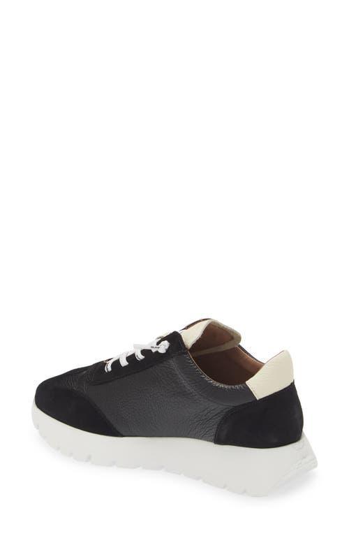 WONDERS Fashion Slip-on Sneaker In Black/off White Combo Product Image