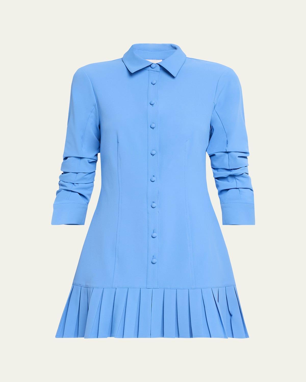 Womens Lucilla Minidress Product Image