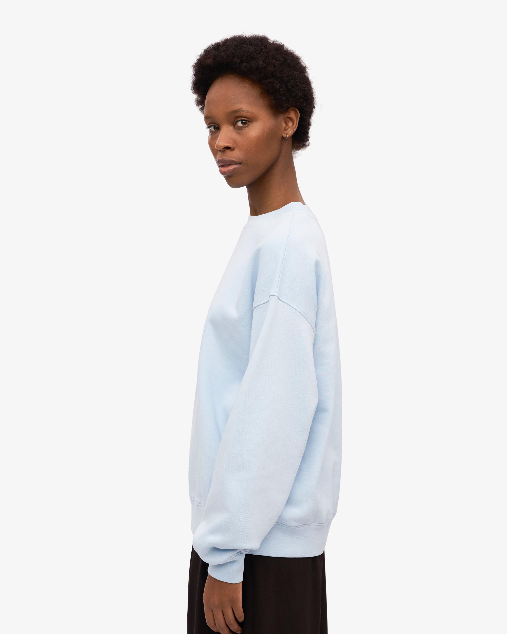 Organic Oversized Crew - Polar Blue Product Image