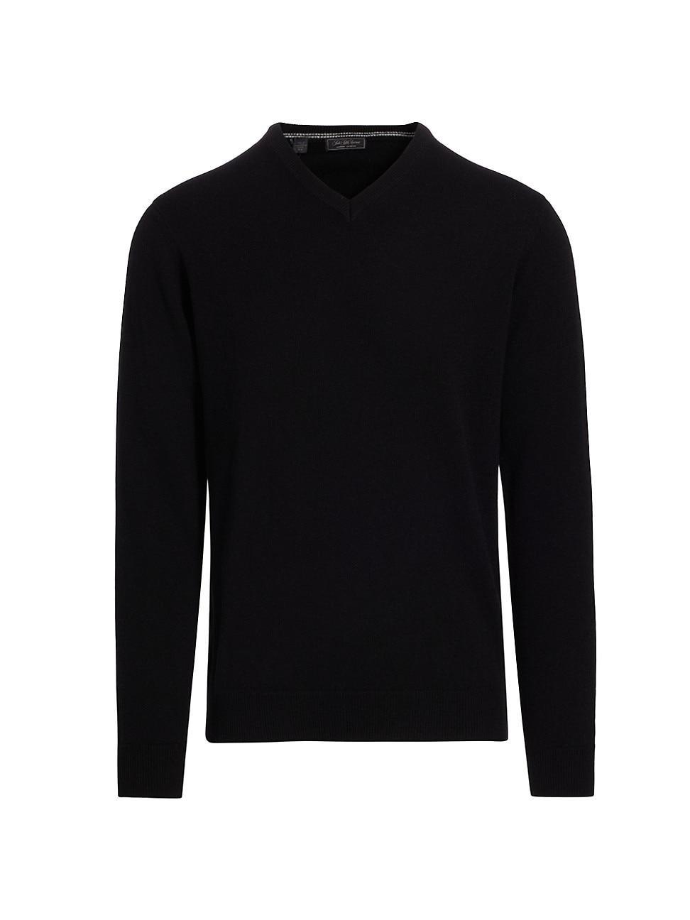 Mens COLLECTION Cashmere V-Neck Sweater Product Image