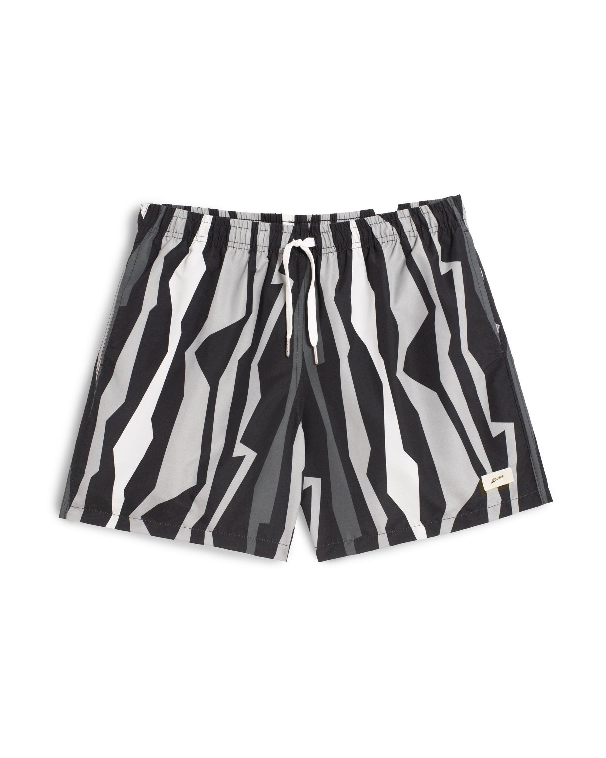 Graphite Coastline Swim Trunk Product Image