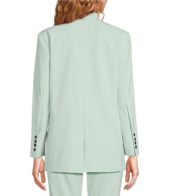 Marella Rubens Stretch Microfiber Canvas Notch Lapel Collar Long Sleeve Two-Button Jacket Product Image