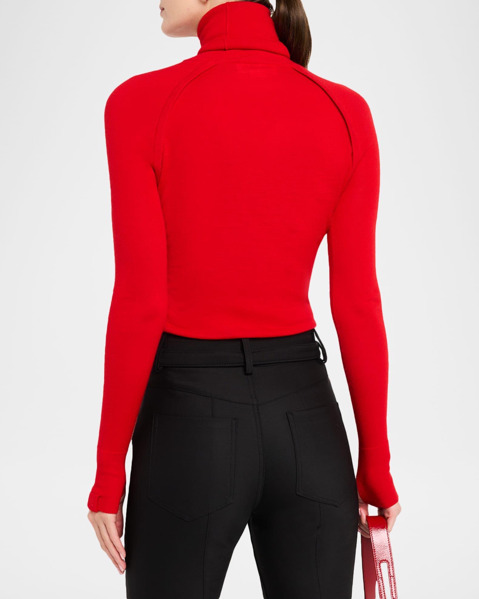 Turtleneck Raglan Long-Sleeve Sweater Product Image