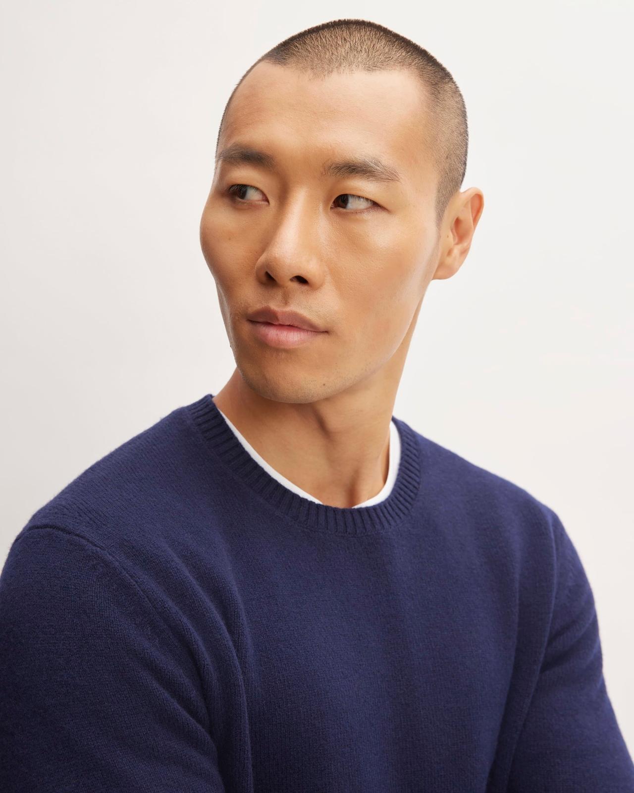 Mens Premium Merino Crew Neck Sweater by Everlane Product Image