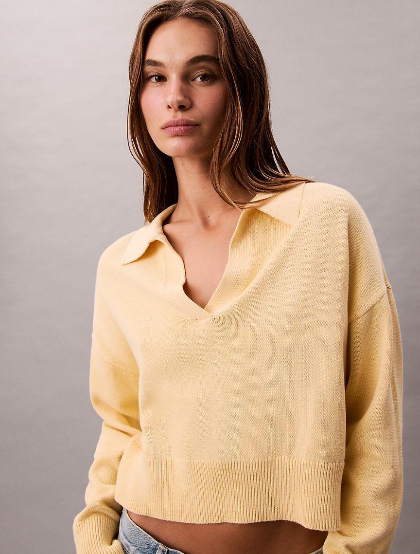 Smooth Cotton Polo Sweater Product Image