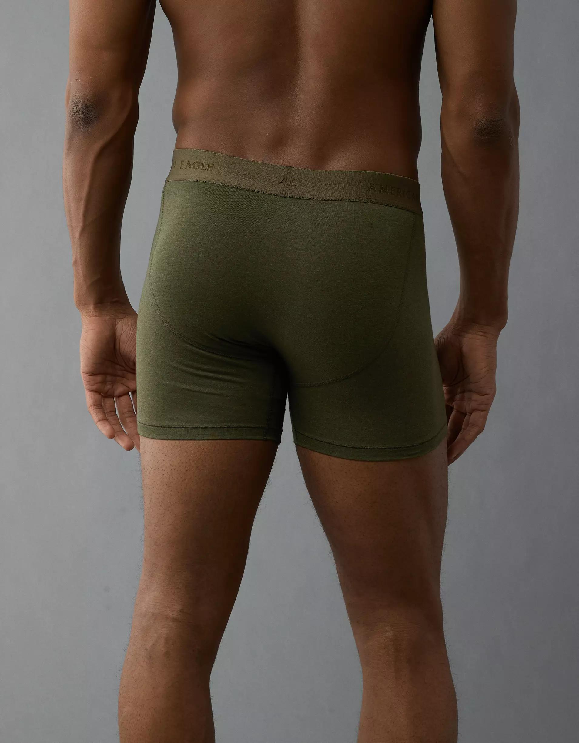 AEO Men's 4.5" Classic Boxer Brief Product Image