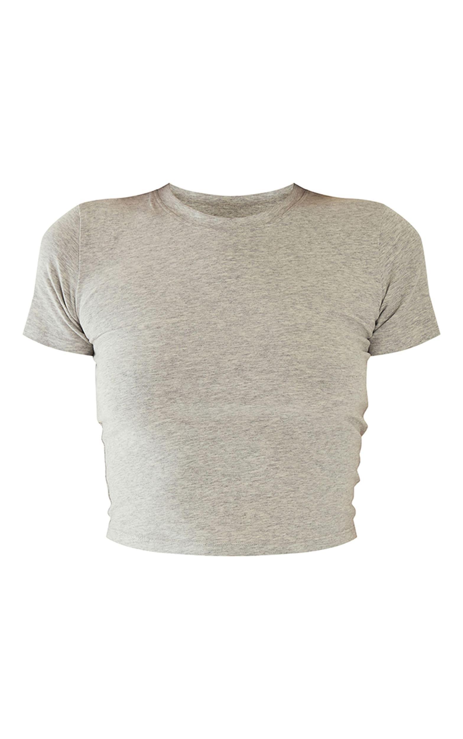 Ash Grey Sculpt Short Sleeve Crop Gym Top Product Image