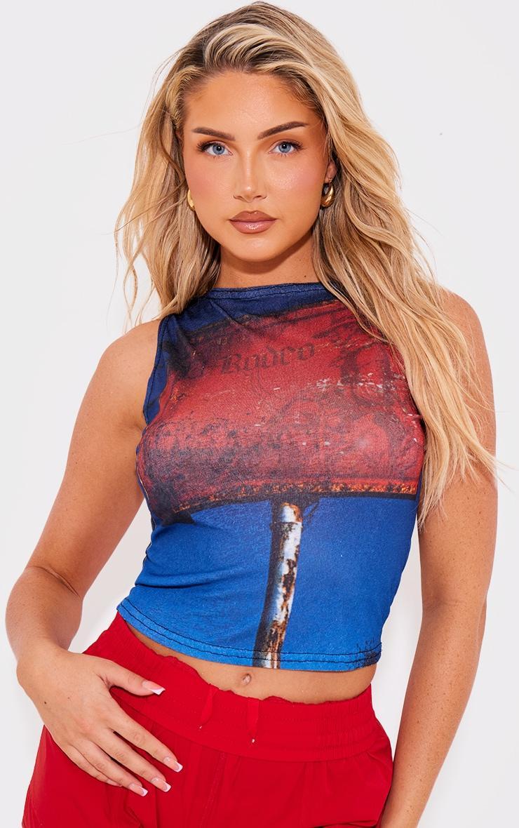 Blue Burnout Mesh Printed Boatneck Top Product Image