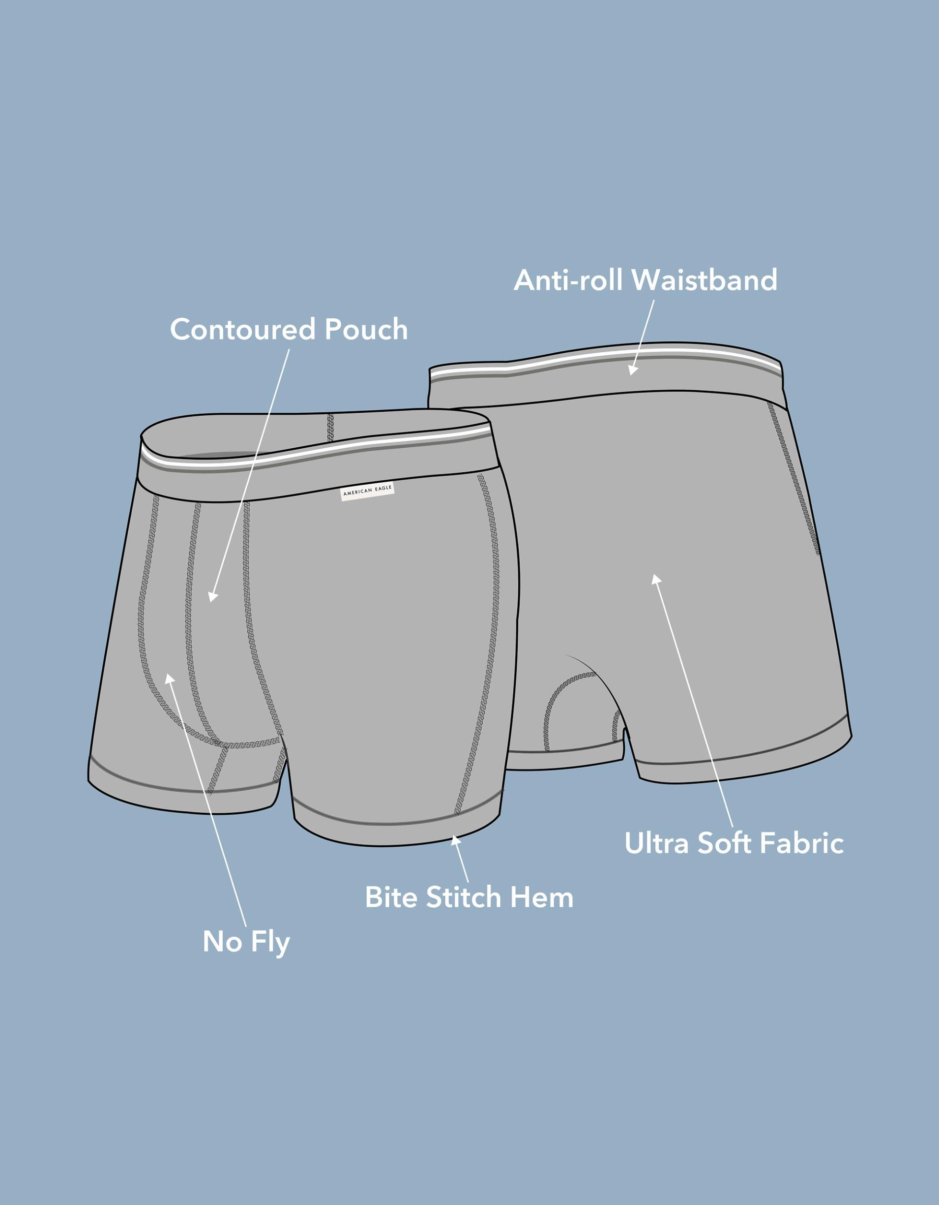 AEO Men's 4.5" Ultra Soft Boxer Brief Product Image