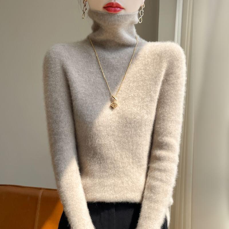 Turtleneck Plain Sweater Product Image